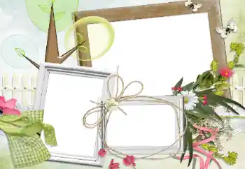 Efecto de fotos de la categoría Otros № 24280 Efecto de fotos de la categoría Otros № 24280