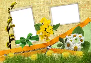 Efecto de fotos de la categoría Otros № 24285 Efecto de fotos de la categoría Otros № 24285