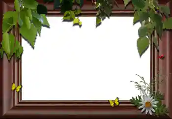 Efecto de fotos de la categoría Otros № 24288 Efecto de fotos de la categoría Otros № 24288