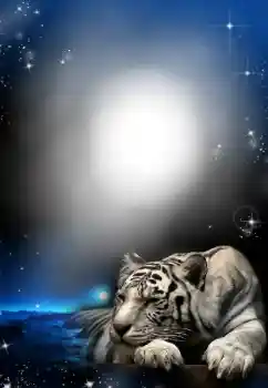 Efecto de fotos de la categoría Otros № 24304