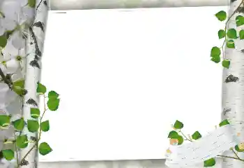 Efecto de fotos de la categoría Otros № 24319