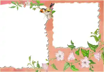 Efecto de fotos de la categoría Otros № 24418