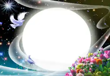 Efecto de fotos de la categoría Otros № 24510