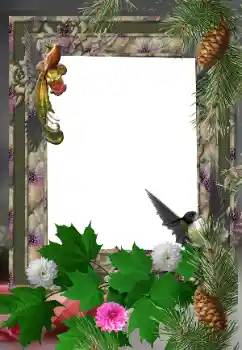 Efecto de fotos de la categoría Otros № 24525