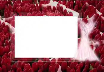 Efecto de fotos de la categoría Otros № 2452