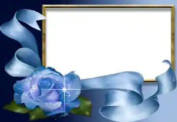 Efecto de fotos de la categoría Otros № 2455