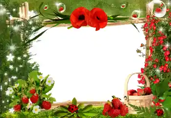 Efecto de fotos de la categoría Otros № 25445