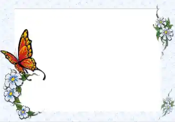 Efecto de fotos de la categoría Otros № 25467