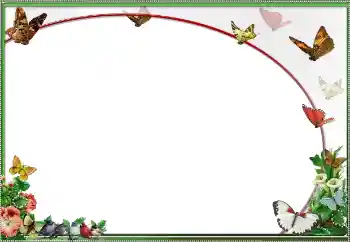 Efecto de fotos de la categoría Otros № 25484