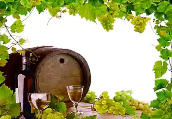 Efecto de fotos de la categoría Otros № 26443