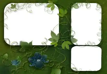 Efecto de fotos de la categoría Otros № 26526 Efecto de fotos de la categoría Otros № 26526