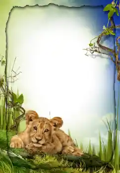 Efecto de fotos de la categoría Otros № 26572 Efecto de fotos de la categoría Otros № 26572