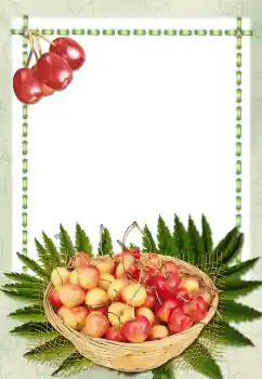 Efecto de fotos de la categoría Otros № 2657