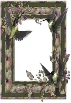 Efecto de fotos de la categoría Otros № 26588