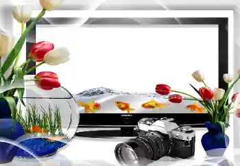 Efecto de fotos de la categoría Otros № 26669