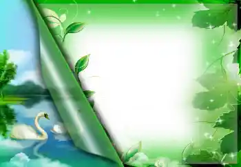 Efecto de fotos de la categoría Otros № 26723