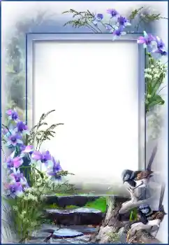 Efecto de fotos de la categoría Otros № 27695