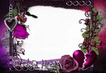 Efecto de fotos de la categoría Otros № 2782