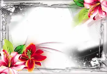 Efecto de fotos de la categoría Otros № 2804