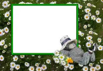 Efecto de fotos de la categoría Otros № 2893