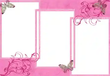 Efecto de fotos de la categoría Otros № 2916