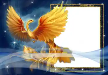 Efecto de fotos de la categoría Otros № 3018