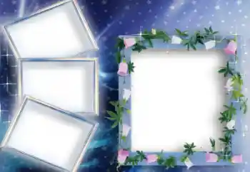 Efecto de fotos de la categoría Otros № 31709