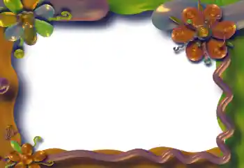 Efecto de fotos de la categoría Otros № 31769