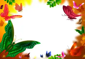 Efecto de fotos de la categoría Otros № 31849