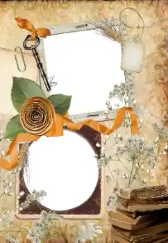 Efecto de fotos de la categoría Otros № 33766