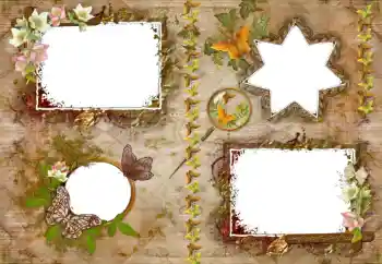 Efecto de fotos de la categoría Otros № 33900 Efecto de fotos de la categoría Otros № 33900