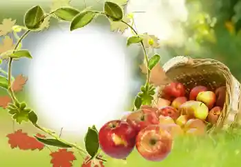 Efecto de fotos de la categoría Otros № 34029 Efecto de fotos de la categoría Otros № 34029