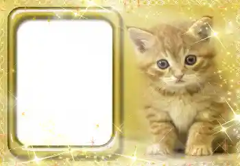 Efecto de fotos de la categoría Otros № 3412