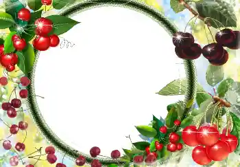 Efecto de fotos de la categoría Otros № 3416 Efecto de fotos de la categoría Otros № 3416