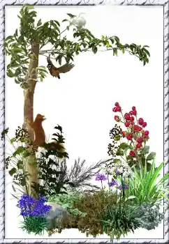 Efecto de fotos de la categoría Otros № 34798 Efecto de fotos de la categoría Otros № 34798