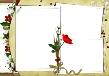 Efecto de fotos de la categoría Otros № 34870 Efecto de fotos de la categoría Otros № 34870