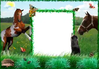 Efecto de fotos de la categoría Otros № 34915 Efecto de fotos de la categoría Otros № 34915