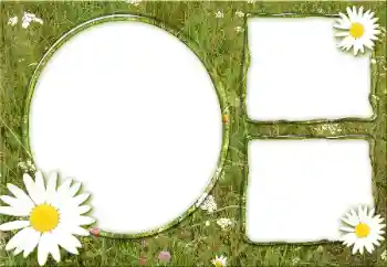 Efecto de fotos de la categoría Otros № 34932 Efecto de fotos de la categoría Otros № 34932