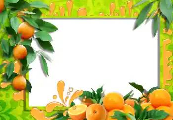 Efecto de fotos de la categoría Otros № 36215 Efecto de fotos de la categoría Otros № 36215