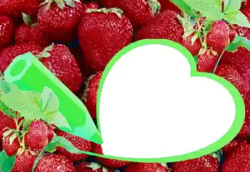 Efecto de fotos de la categoría Otros № 36225 Efecto de fotos de la categoría Otros № 36225