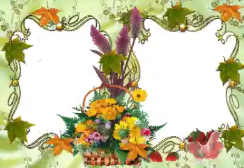 Efecto de fotos de la categoría Otros № 36278 Efecto de fotos de la categoría Otros № 36278