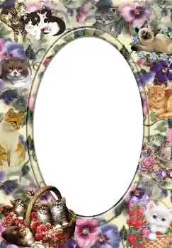 Efecto de fotos de la categoría Otros № 3702