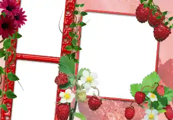 Efecto de fotos de la categoría Otros № 3703