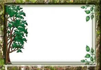 Efecto de fotos de la categoría Otros № 3732