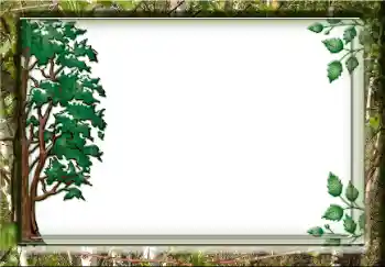 Efecto de fotos de la categoría Otros № 38357 Efecto de fotos de la categoría Otros № 38357