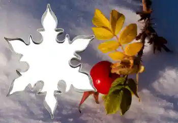 Efecto de fotos de la categoría Otros № 38548 Efecto de fotos de la categoría Otros № 38548