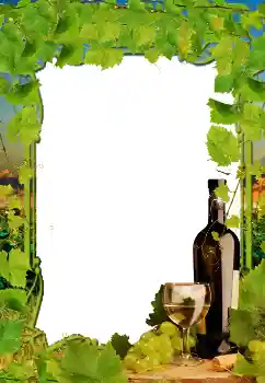 Efecto de fotos de la categoría Otros № 38598 Efecto de fotos de la categoría Otros № 38598