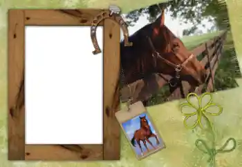 Efecto de fotos de la categoría Otros № 38802 Efecto de fotos de la categoría Otros № 38802