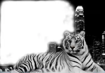 Efecto de fotos de la categoría Otros № 38947 Efecto de fotos de la categoría Otros № 38947