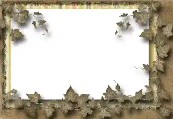 Efecto de fotos de la categoría Otros № 39069 Efecto de fotos de la categoría Otros № 39069